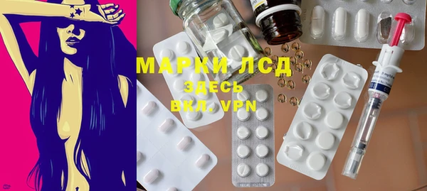 spice Богородицк